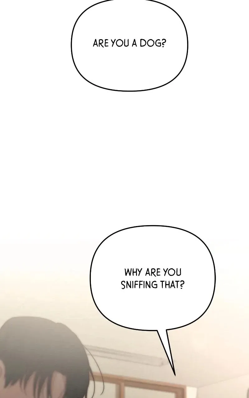 c539d5c5567f