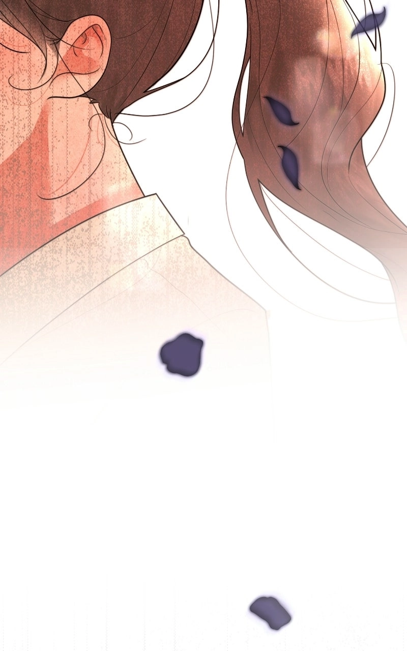 2c45d6cf06b2
