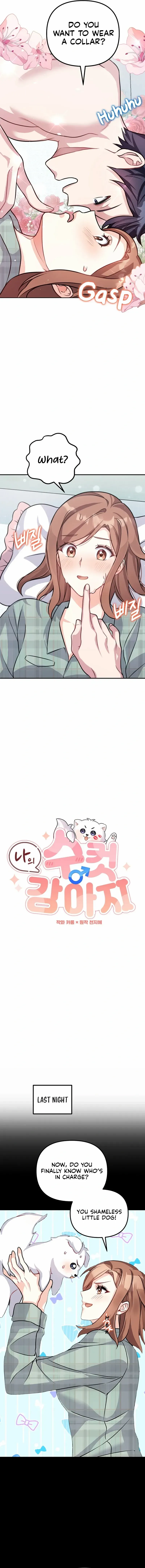 97f03cd949f0