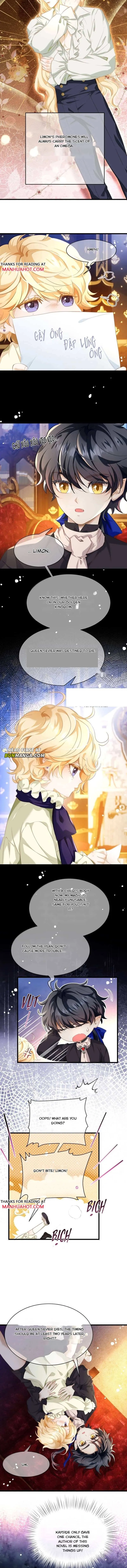 6fe5c1afdfcb