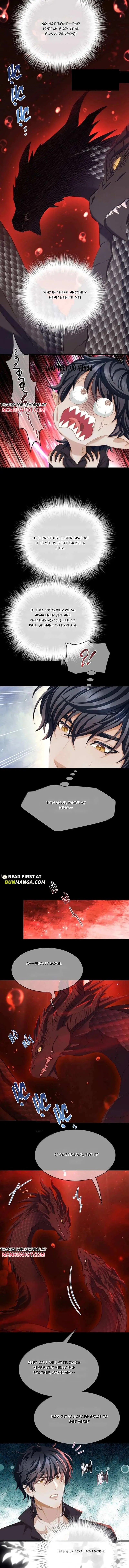 f6b8dd826125