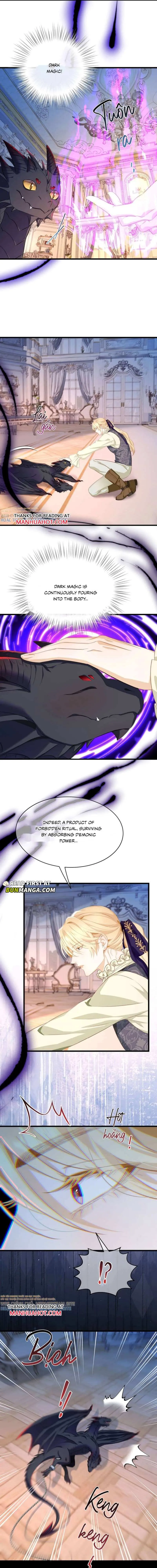 03c1b8e06337