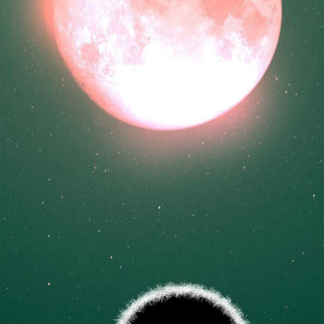 020