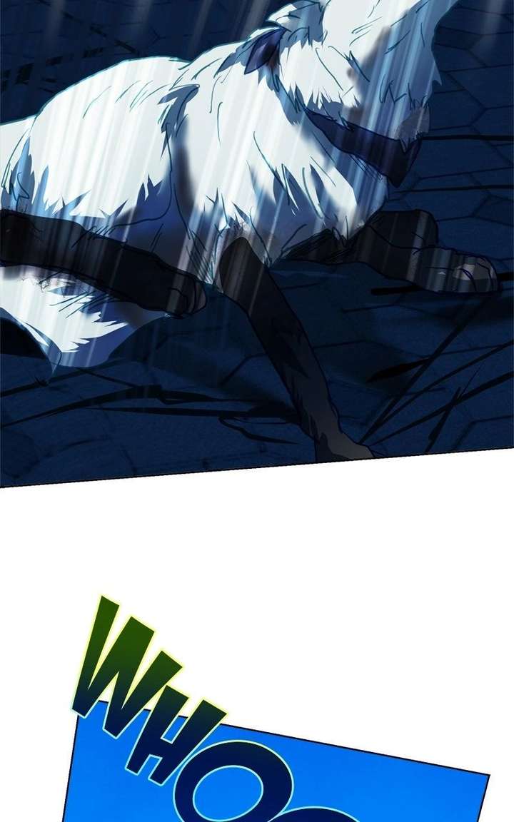 ch 37 12