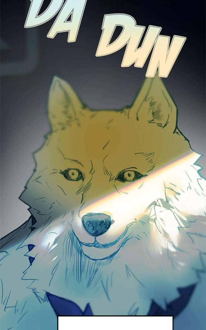 ch 37 36
