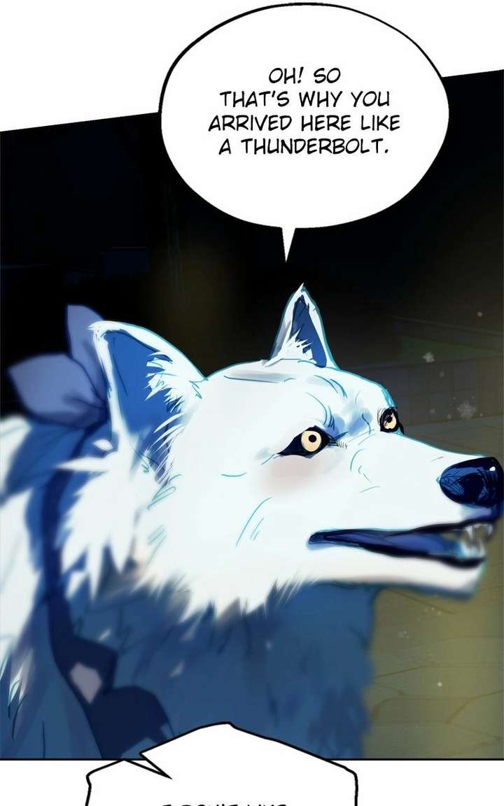 ch 37 6
