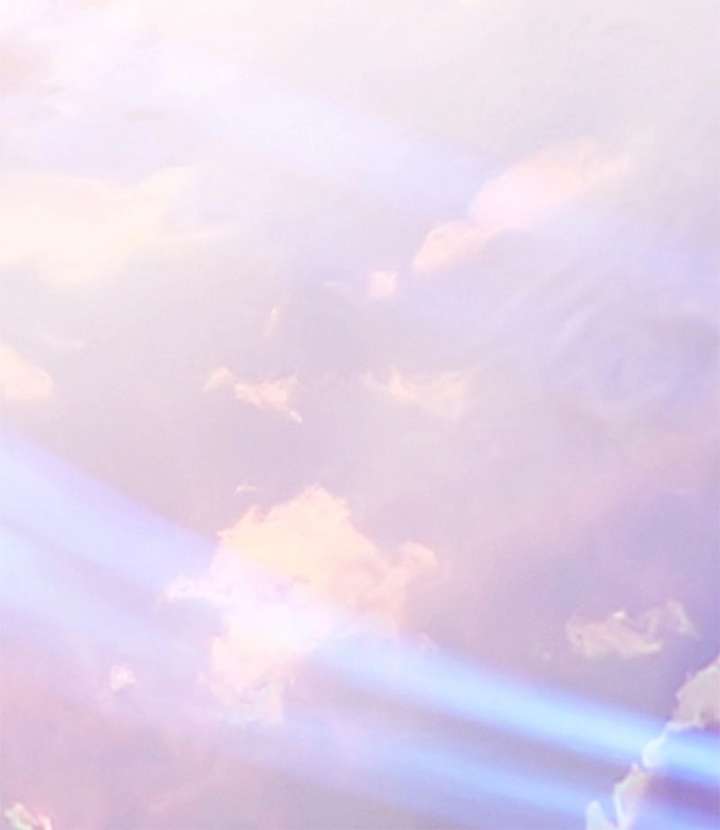 ch 40 113