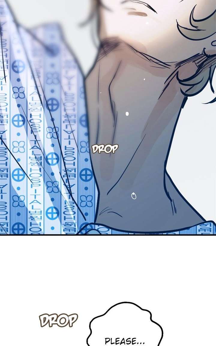 ch 41 88