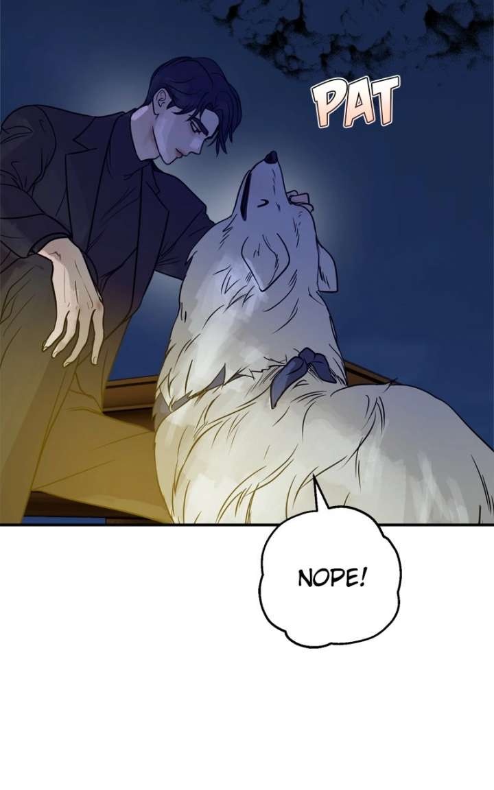 ch 44 77