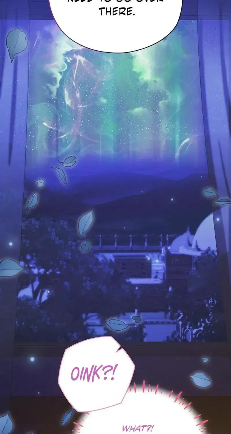 3faebdbe1cf6