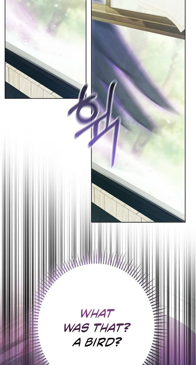 5ca93c19e774