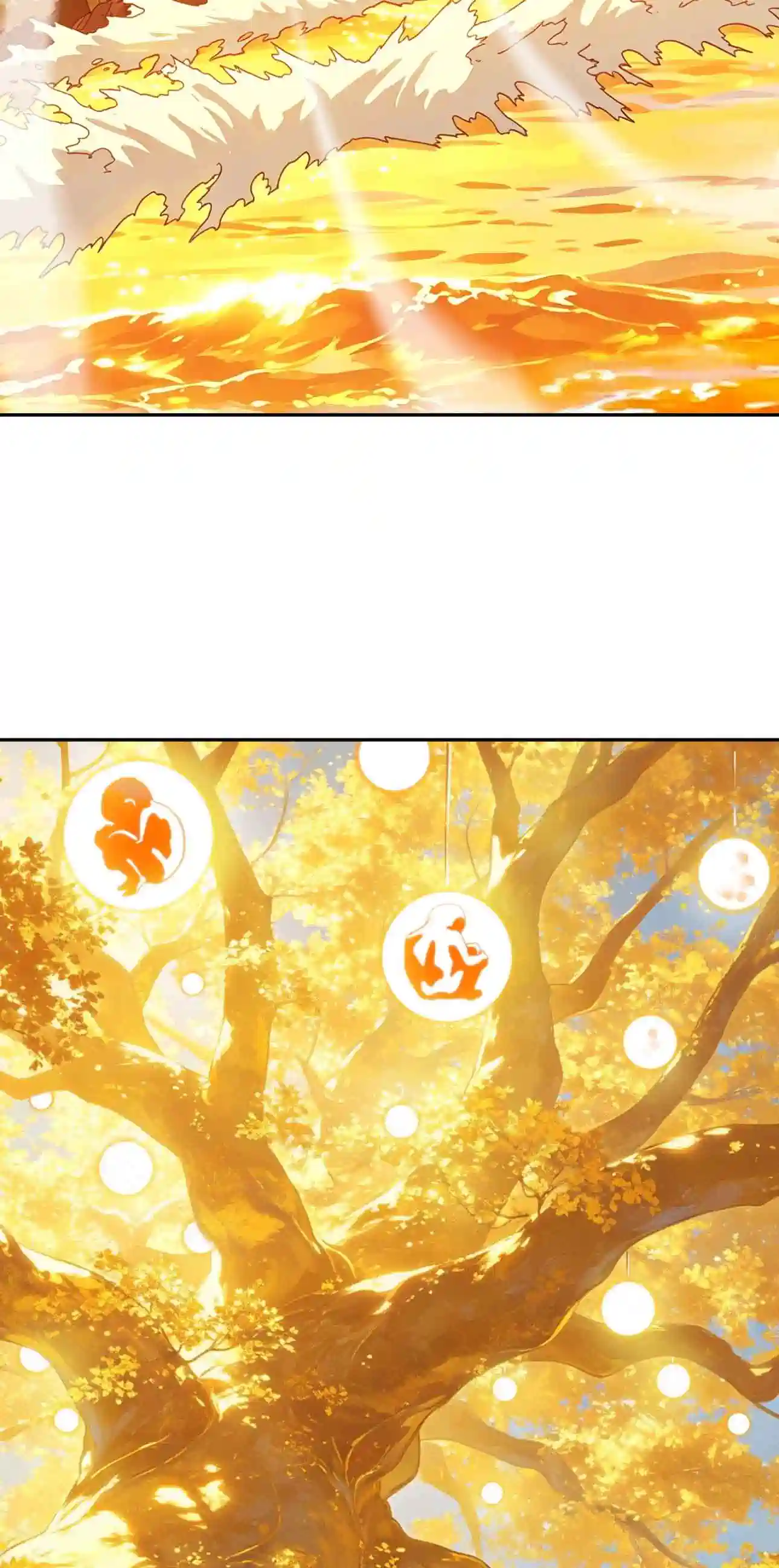 31 webp