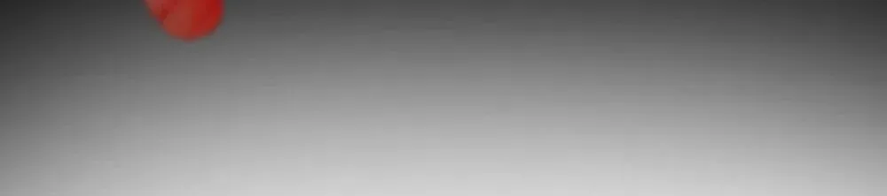 b97c6072a5c2