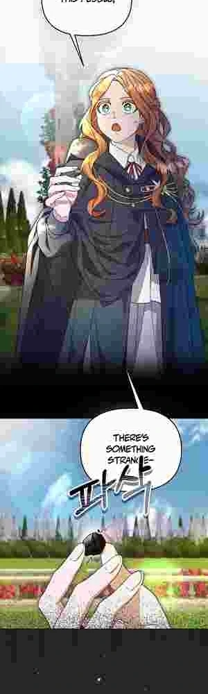 The Ugly Wife of the Shady Duke Chapter 15 217 33