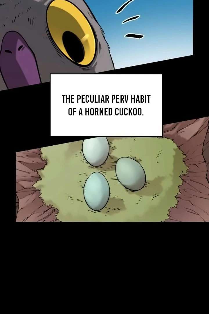 81