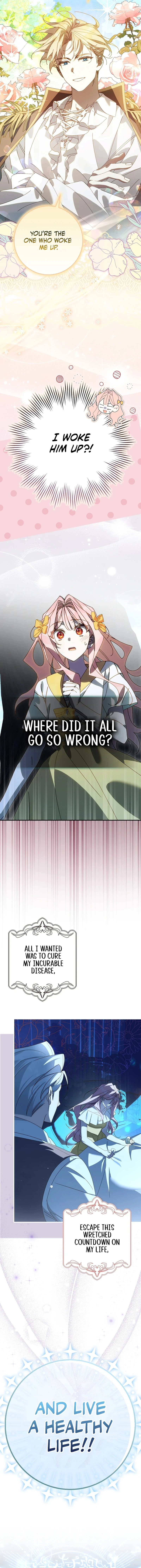 The Perfect Plan to Avoid the Death Ending Chapter 0 28 3