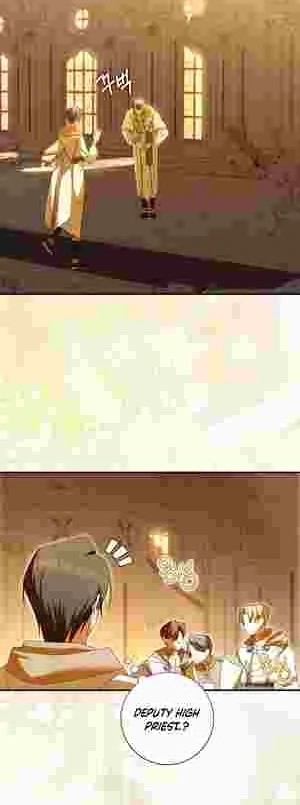 The Perfect Plan to Avoid the Death Ending Chapter 11 176 28