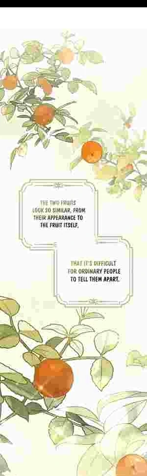 The Perfect Plan to Avoid the Death Ending Chapter 14 138 26