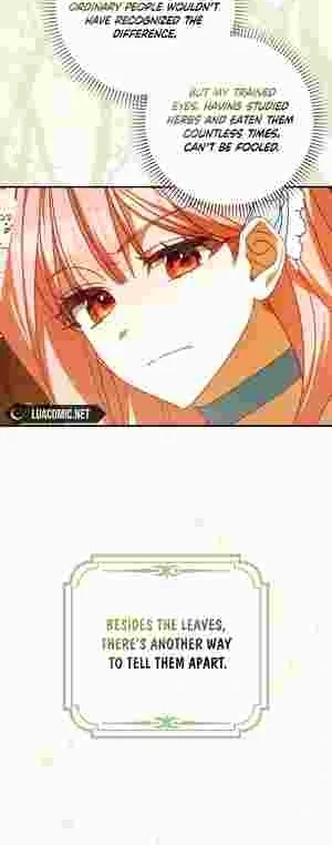 The Perfect Plan to Avoid the Death Ending Chapter 14 140 28