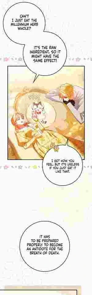 The Perfect Plan to Avoid the Death Ending Chapter 17 188 04