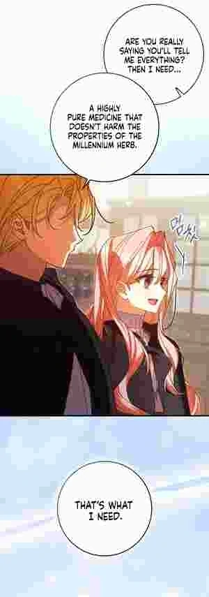 The Perfect Plan to Avoid the Death Ending Chapter 17 211 27