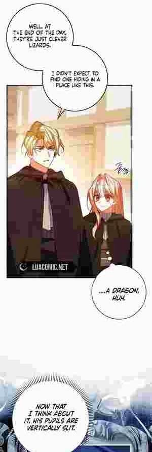 The Perfect Plan to Avoid the Death Ending Chapter 17 221 37