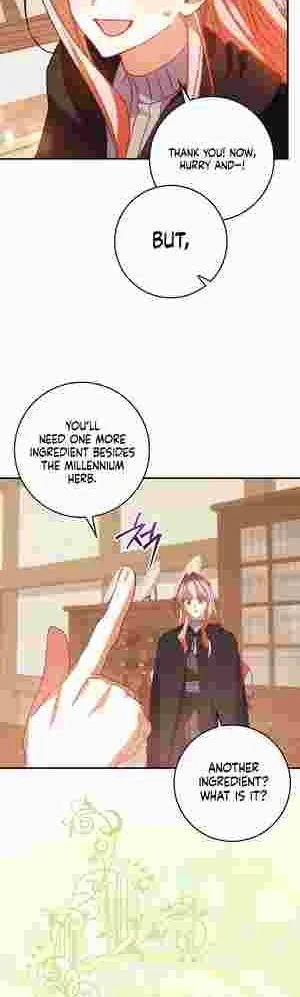 The Perfect Plan to Avoid the Death Ending Chapter 17 228 44