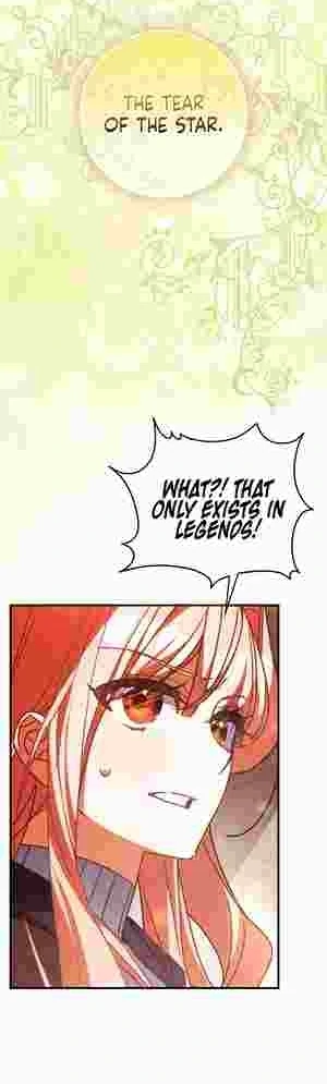 The Perfect Plan to Avoid the Death Ending Chapter 17 229 45