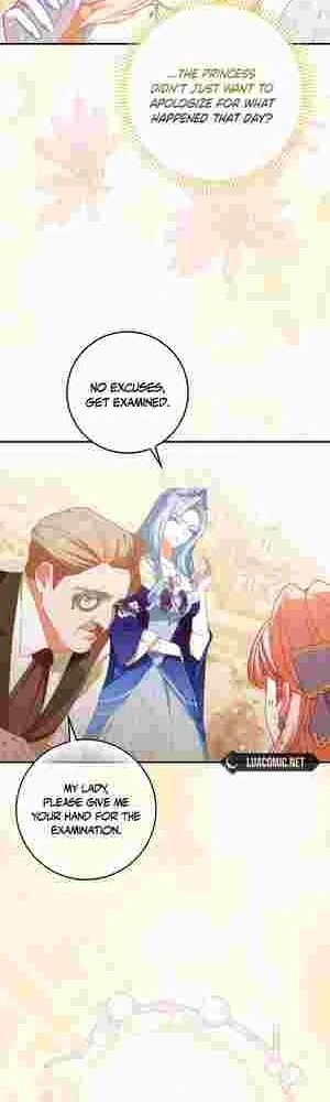 The Perfect Plan to Avoid the Death Ending Chapter 20 210 23