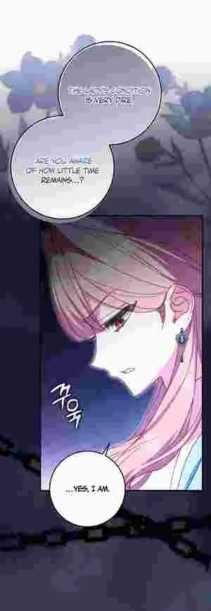 The Perfect Plan to Avoid the Death Ending Chapter 20 212 25