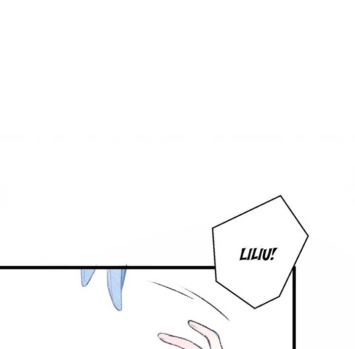 81