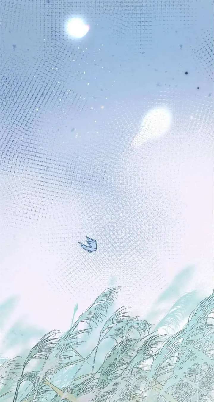 ch 40 26