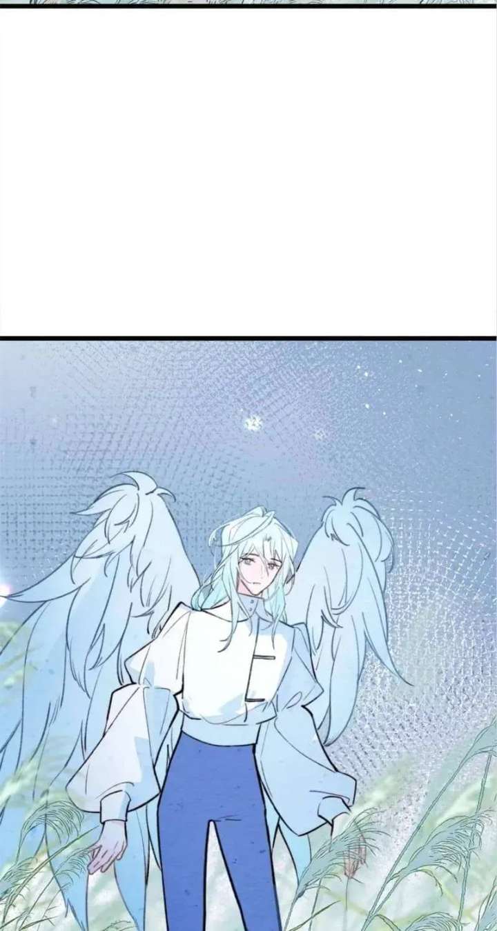 ch 40 27
