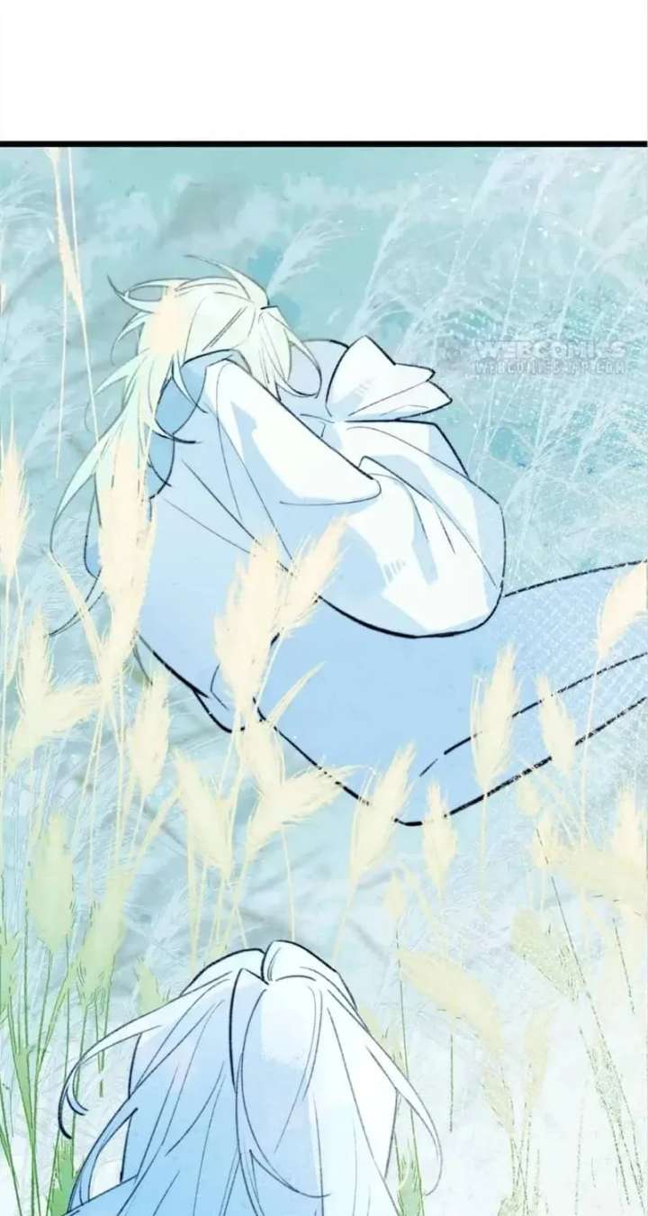 ch 40 30