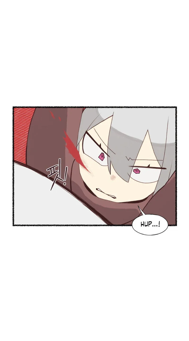 2d14b0b80050
