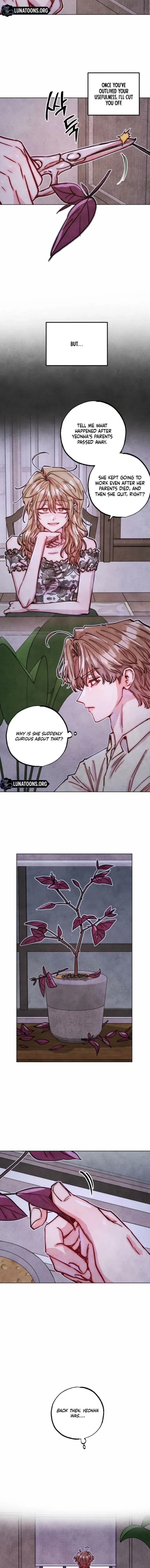 Young Love Interest’s Frustration Chapter 61 37 cfd88450854c