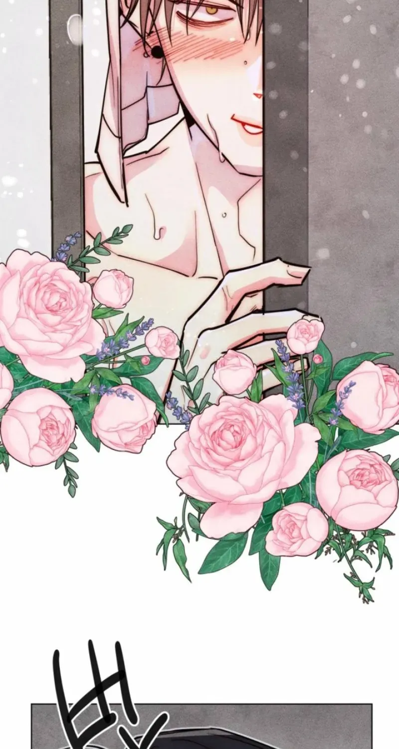 864d9e54f90c