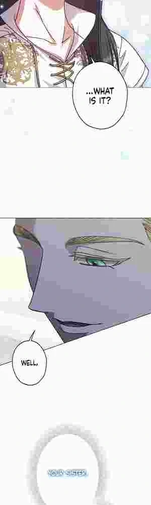 I Became the Youngest Sister-in-law of the Ruined Reverse Harem’s Male Leads Chapter 11 209 43