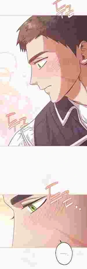 I Became the Youngest Sister-in-law of the Ruined Reverse Harem’s Male Leads Chapter 13 230 37