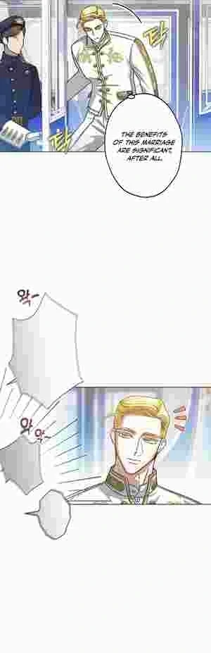 I Became the Youngest Sister-in-law of the Ruined Reverse Harem’s Male Leads Chapter 14 196 06