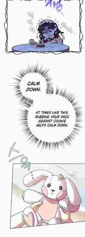 I Became the Youngest Sister-in-law of the Ruined Reverse Harem’s Male Leads Chapter 15 210 35