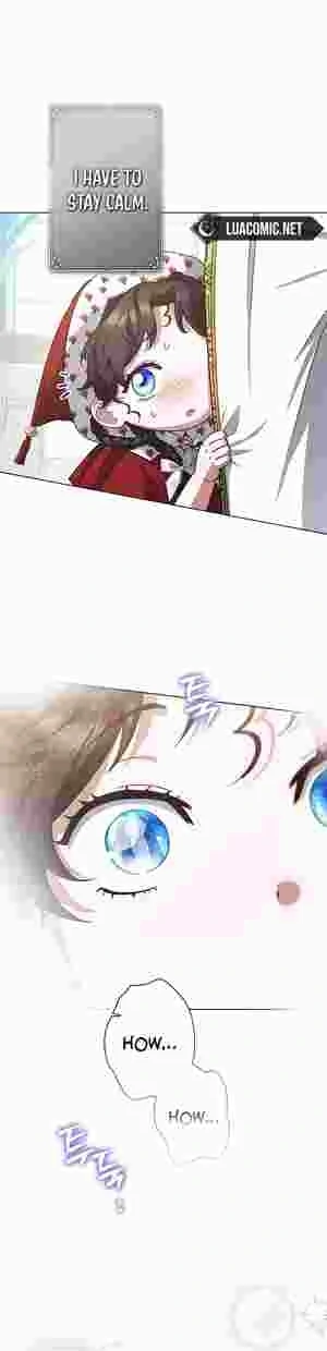 I Became the Youngest Sister-in-law of the Ruined Reverse Harem’s Male Leads Chapter 16 206 13