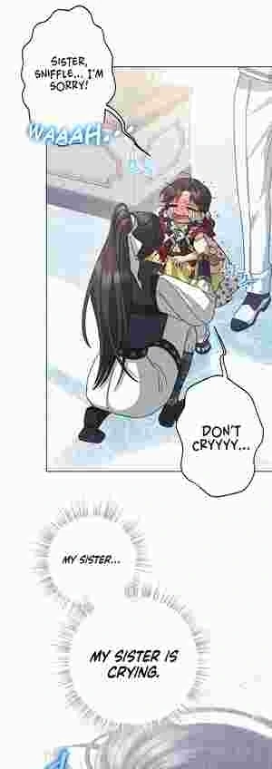 I Became the Youngest Sister-in-law of the Ruined Reverse Harem’s Male Leads Chapter 16 214 21