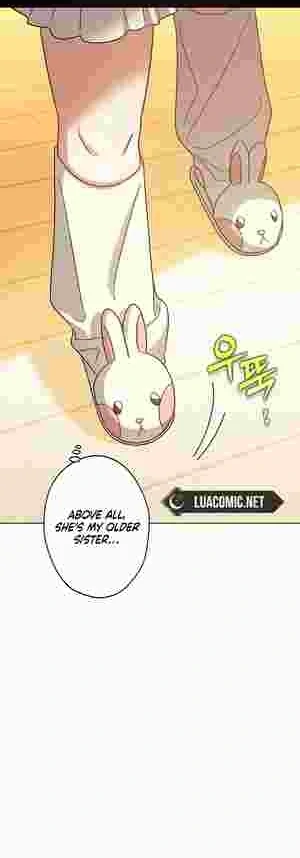 I Became the Youngest Sister-in-law of the Ruined Reverse Harem’s Male Leads Chapter 16 246 53