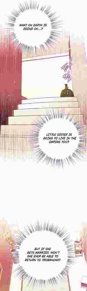 I Became the Youngest Sister-in-law of the Ruined Reverse Harem’s Male Leads Chapter 17 200 19