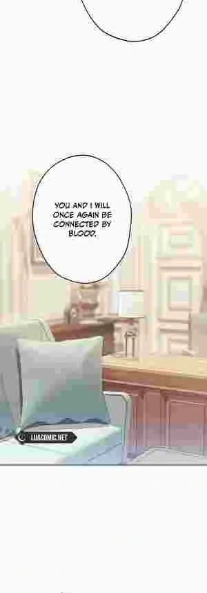 I Became the Youngest Sister-in-law of the Ruined Reverse Harem’s Male Leads Chapter 17 216 35