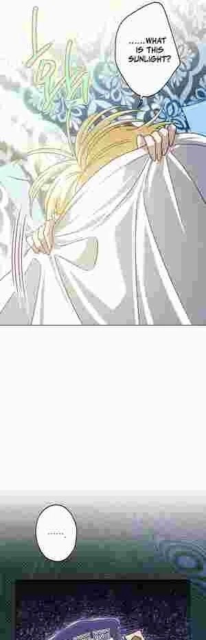 I Became the Youngest Sister-in-law of the Ruined Reverse Harem’s Male Leads Chapter 19 237 53