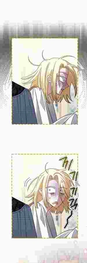 I Became the Youngest Sister-in-law of the Ruined Reverse Harem’s Male Leads Chapter 19 240 56