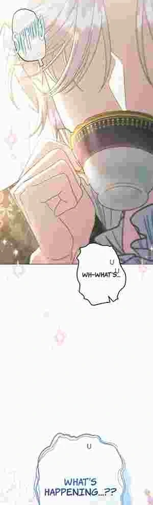 I Became the Youngest Sister-in-law of the Ruined Reverse Harem’s Male Leads Chapter 19 241 57
