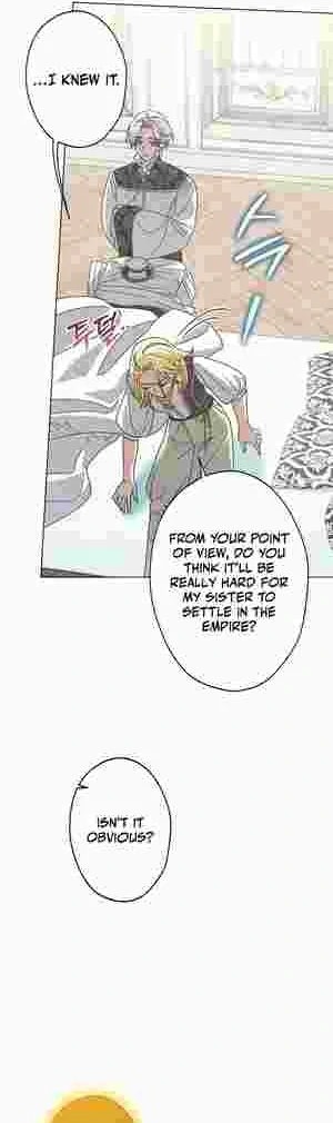I Became the Youngest Sister-in-law of the Ruined Reverse Harem’s Male Leads Chapter 20 171 14